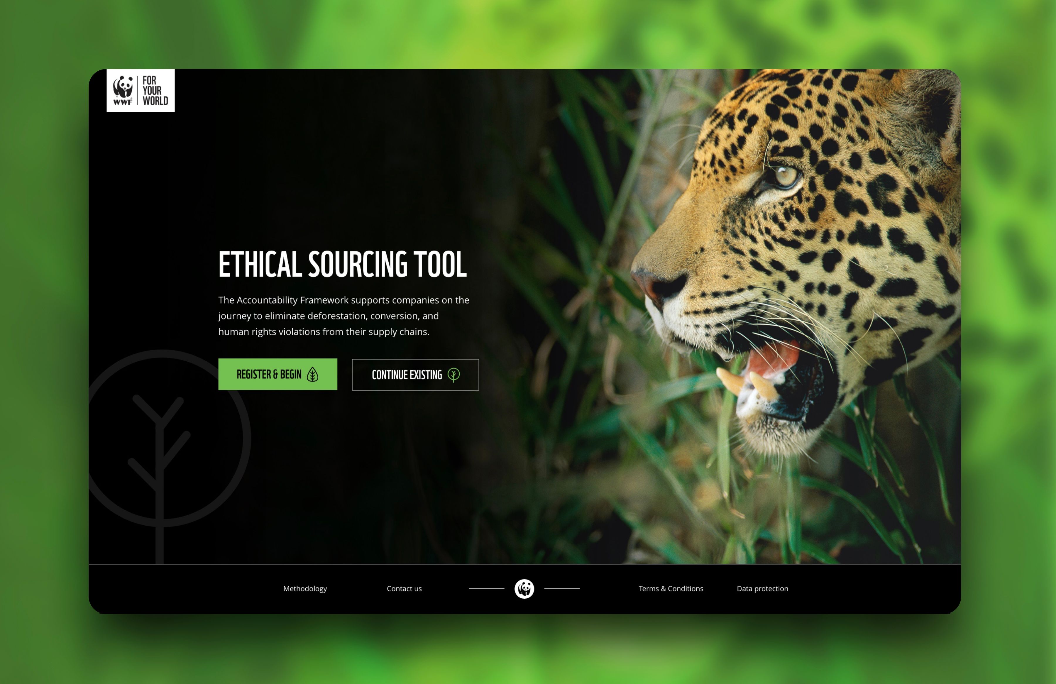 Home page of tool. Black background with a in image of a leopard on the right